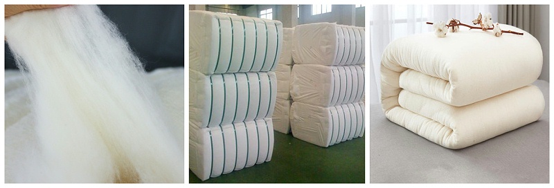 YY易游m6米乐医纺