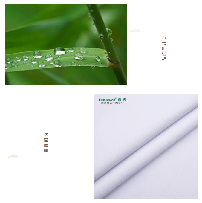 YY易游m6米乐医纺